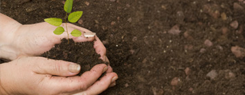 GVK Carbon Credits